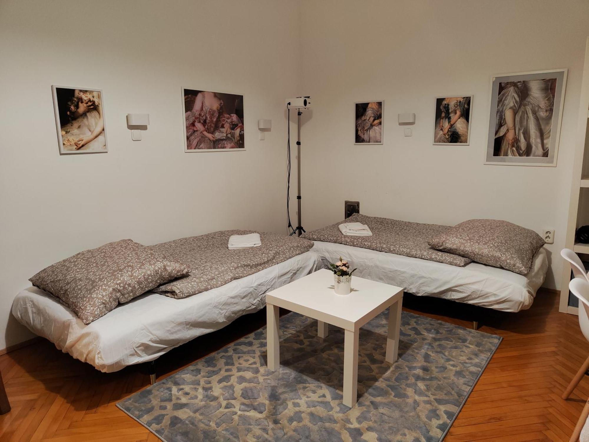 Hi!5 Spacious Apartment Budapest Palotanegyed ภายนอก รูปภาพ